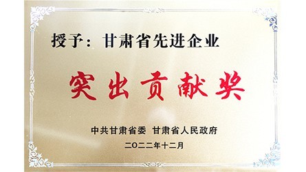 甘肅省先進企業(yè)突出貢獻獎